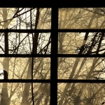 http://joseph.frey.free.fr/files/gimgs/th-20_00103.jpg